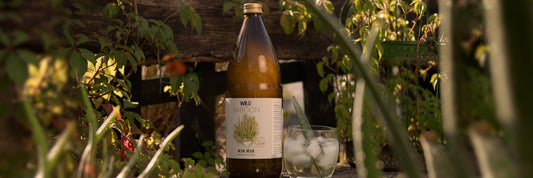 Welcher Aloe Vera Saft ist der Beste?