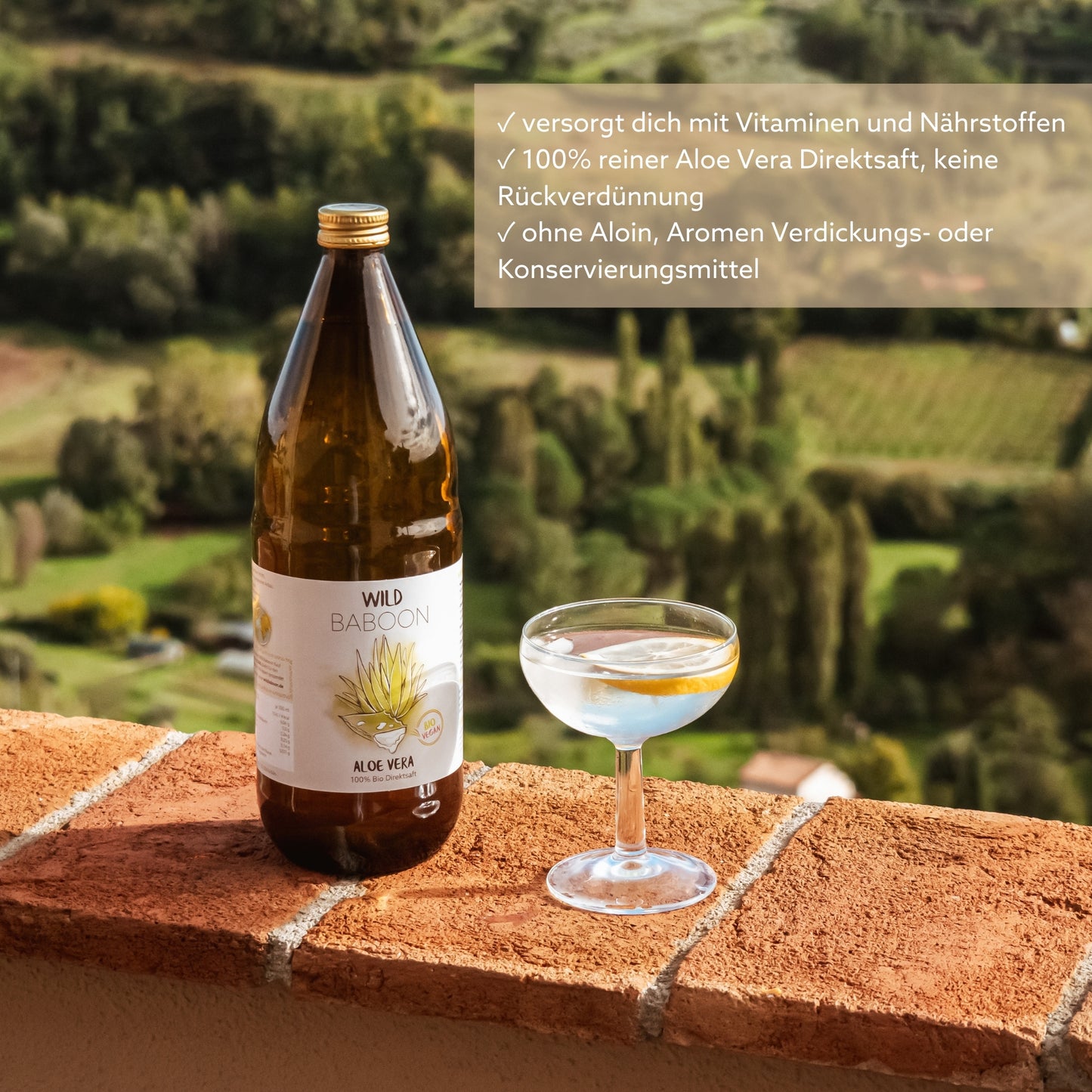 Bio Aloe Vera Direktsaft - Reine Pflanzenkraft