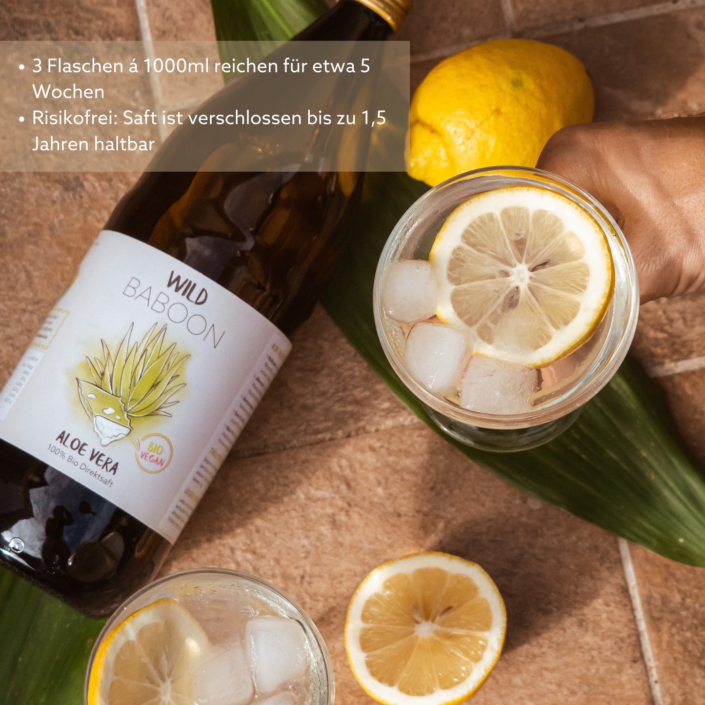 Starterkit: Bio Aloe Vera Saft & Gel
