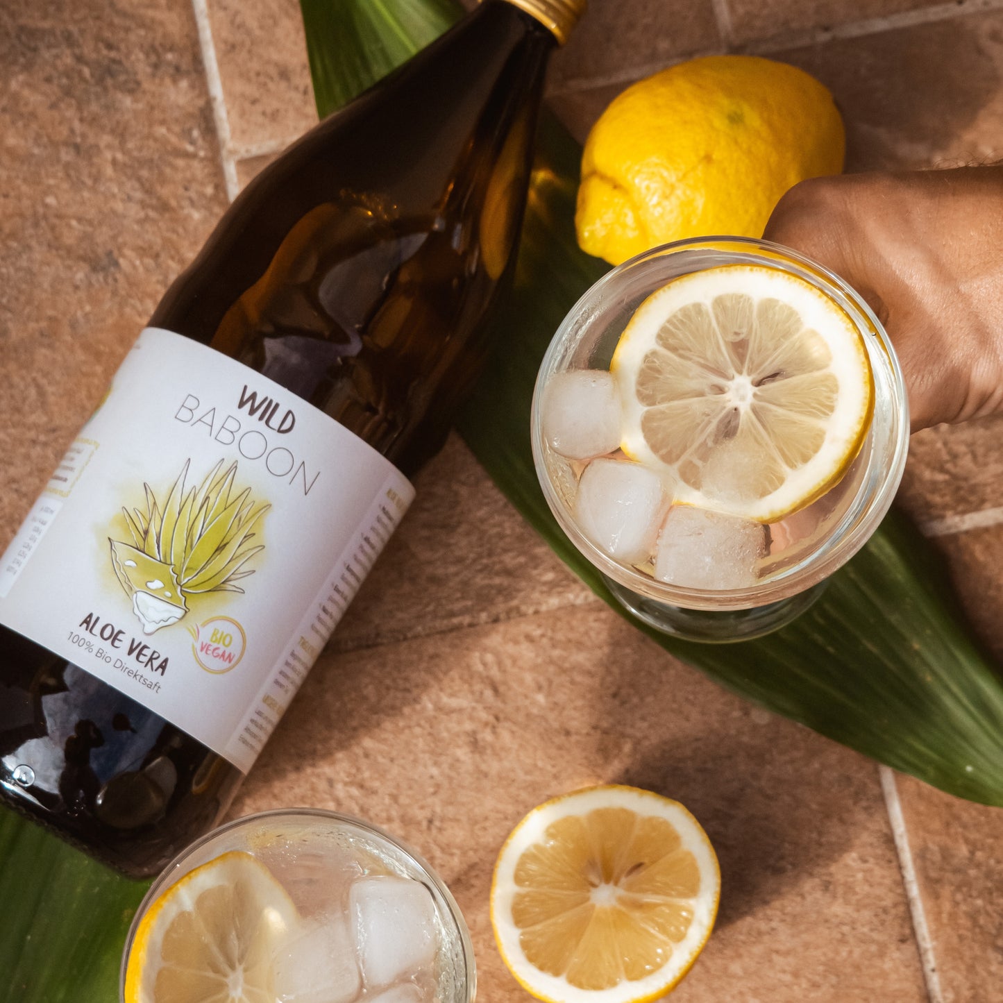 Starterkit: Bio Aloe Vera Saft & Gel