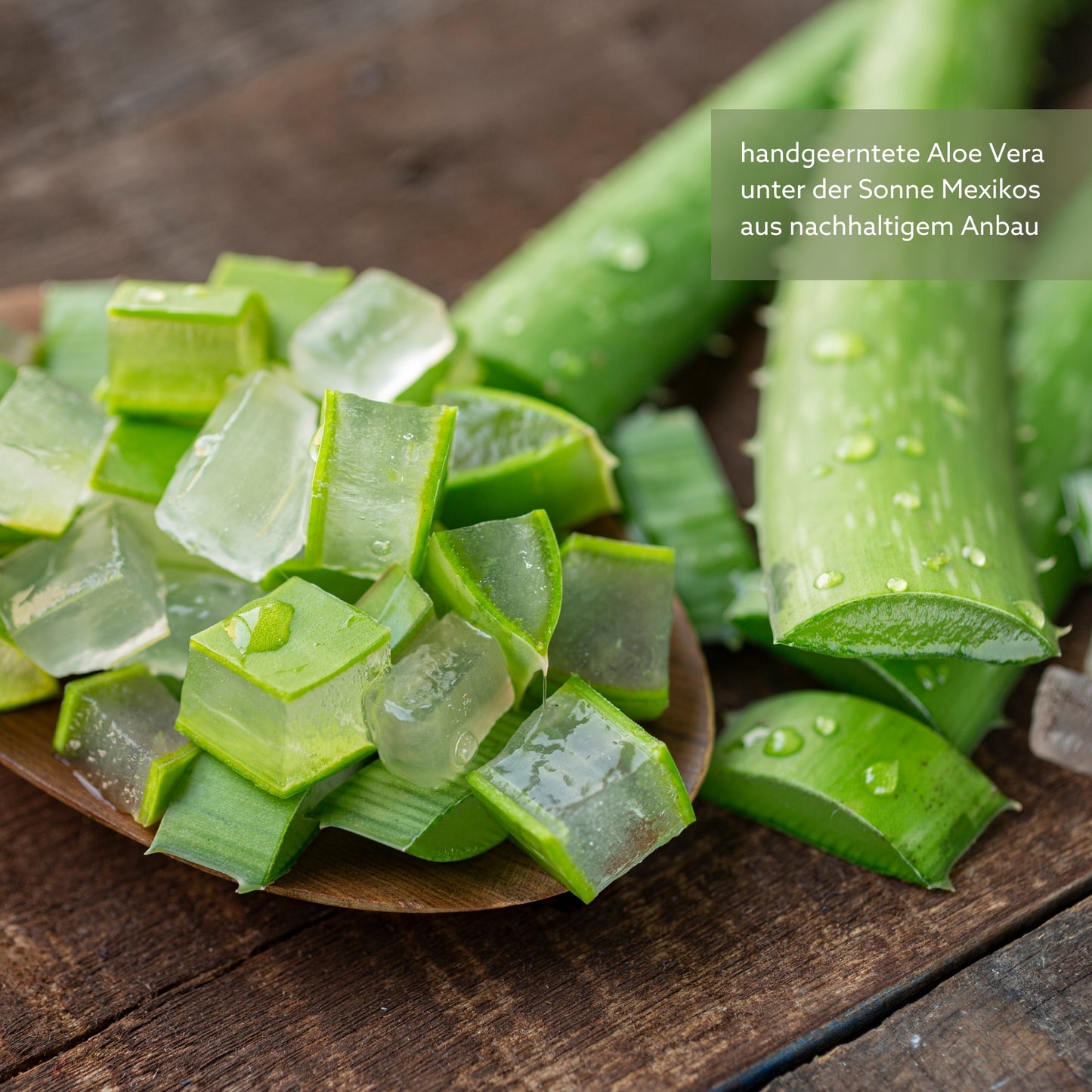 Aloe Vera Gesichtsseife Ayni 60g - schenkt schöne, klare Haut