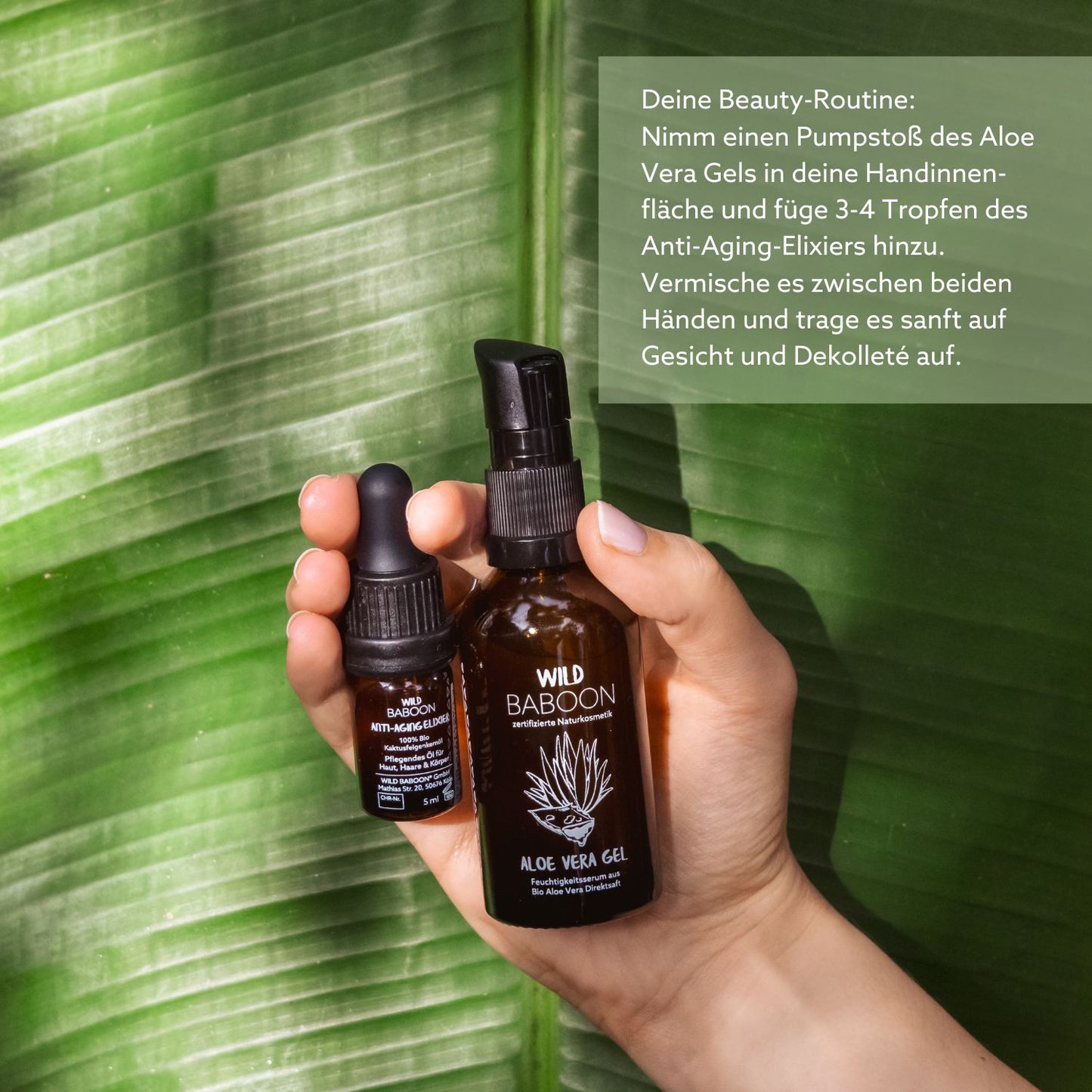 🌵MINI: Bio Kaktusfeigenkernöl - Anti-Aging Elixier - 5ml