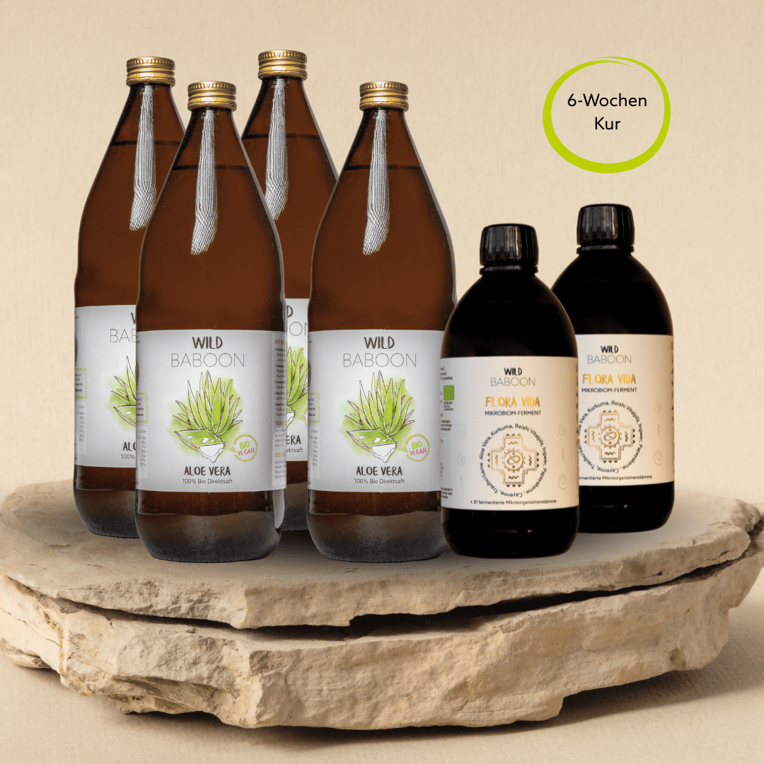 Darmkur FLORA VIDA & Aloe Saft