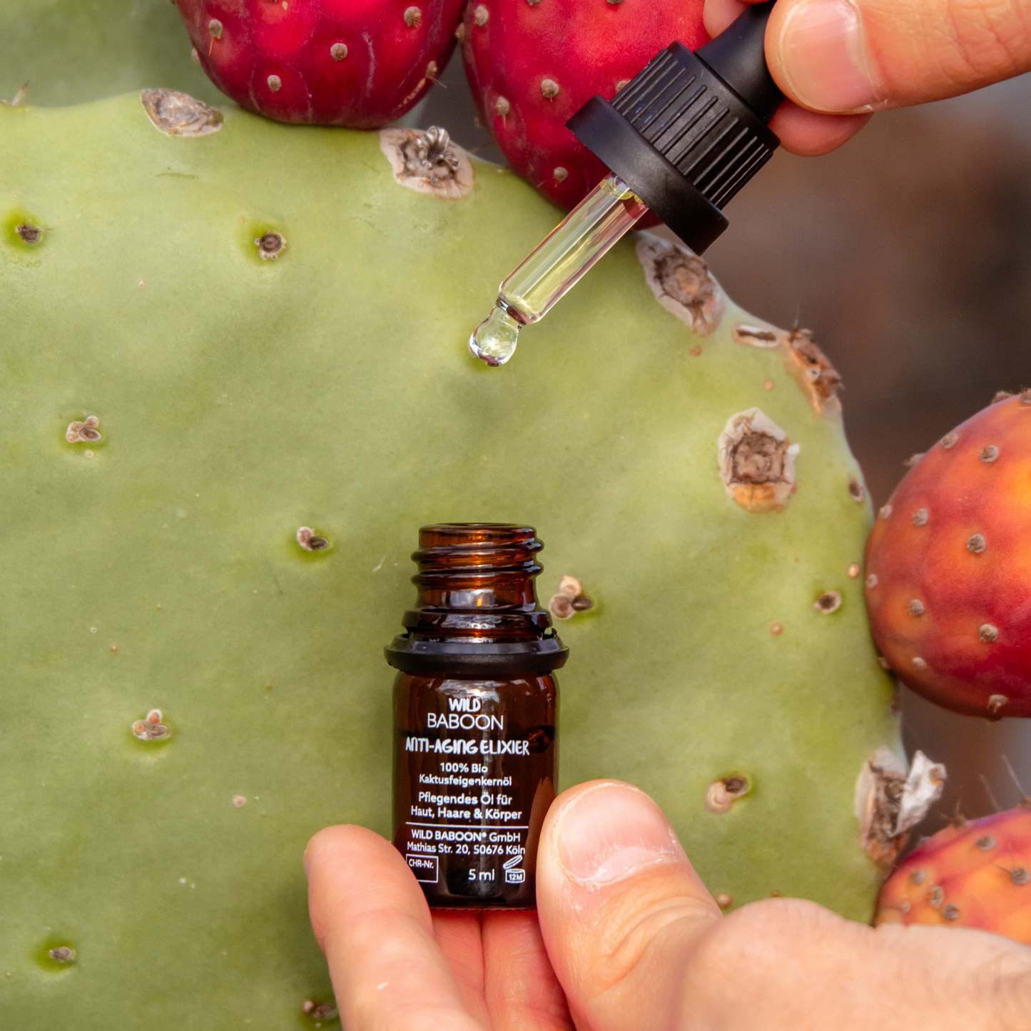 🌵MINI: Bio Kaktusfeigenkernöl - Anti-Aging Elixier - 5ml