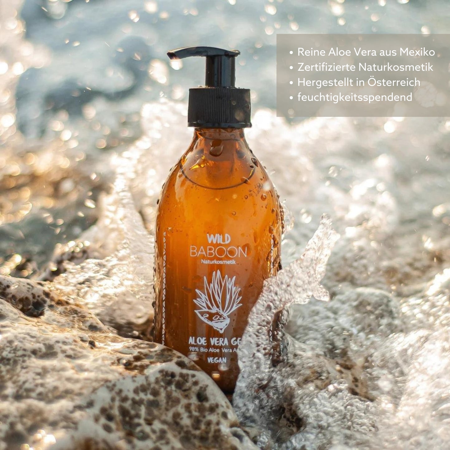 THE GOLDEN RITUAL: Aloe & Cactus