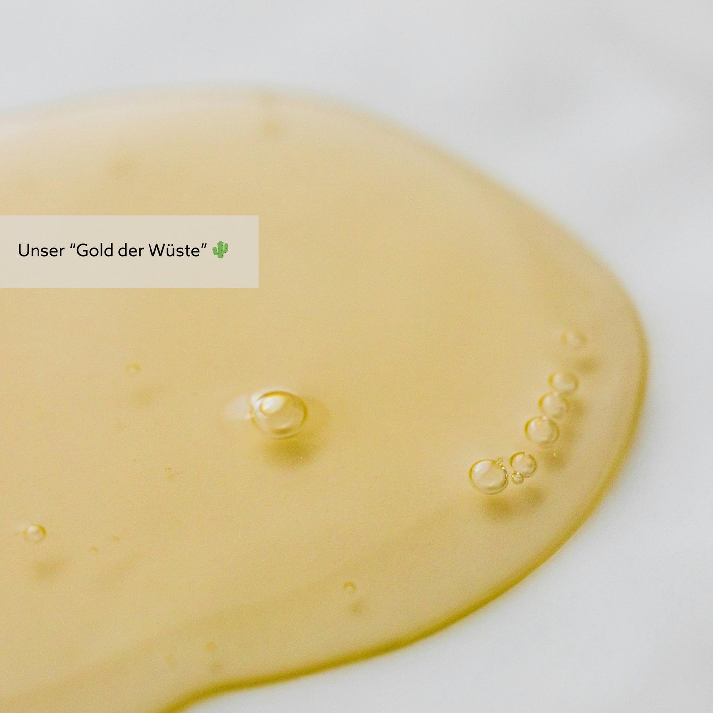 THE GOLDEN RITUAL: Aloe & Cactus