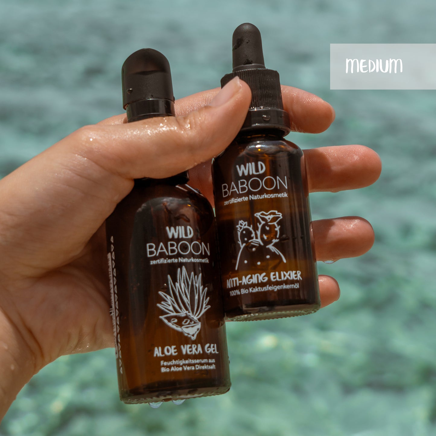 THE GOLDEN RITUAL: Aloe & Cactus