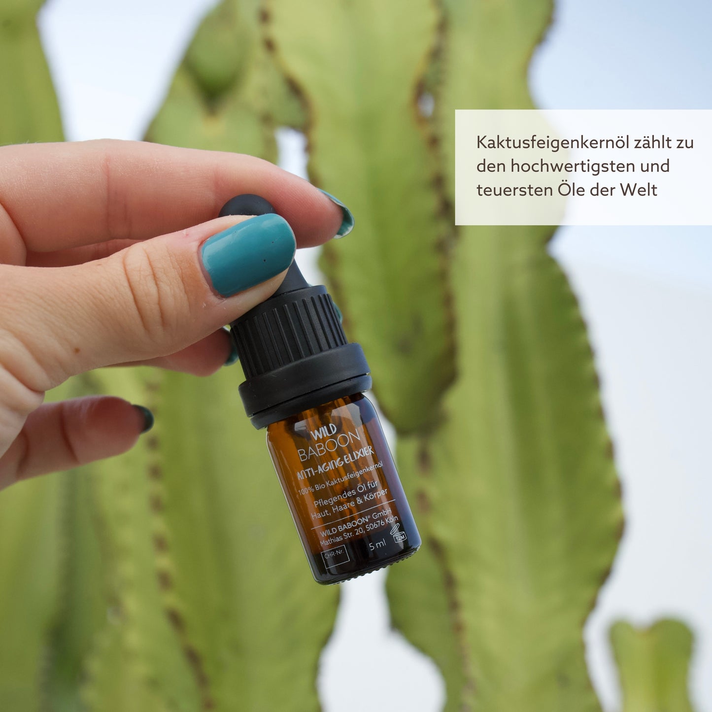 THE GOLDEN RITUAL: Aloe & Cactus