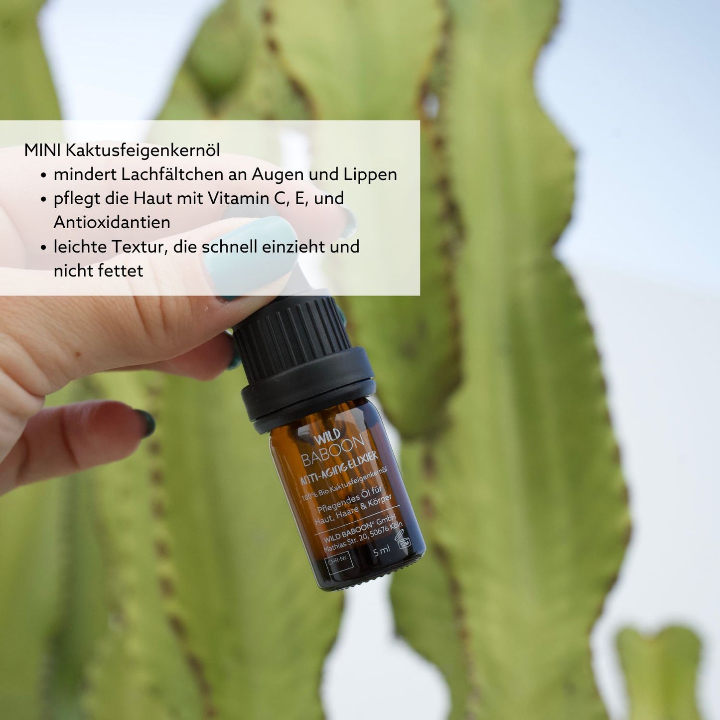 🌵MINI: Bio Kaktusfeigenkernöl - Anti-Aging Elixier - 5ml