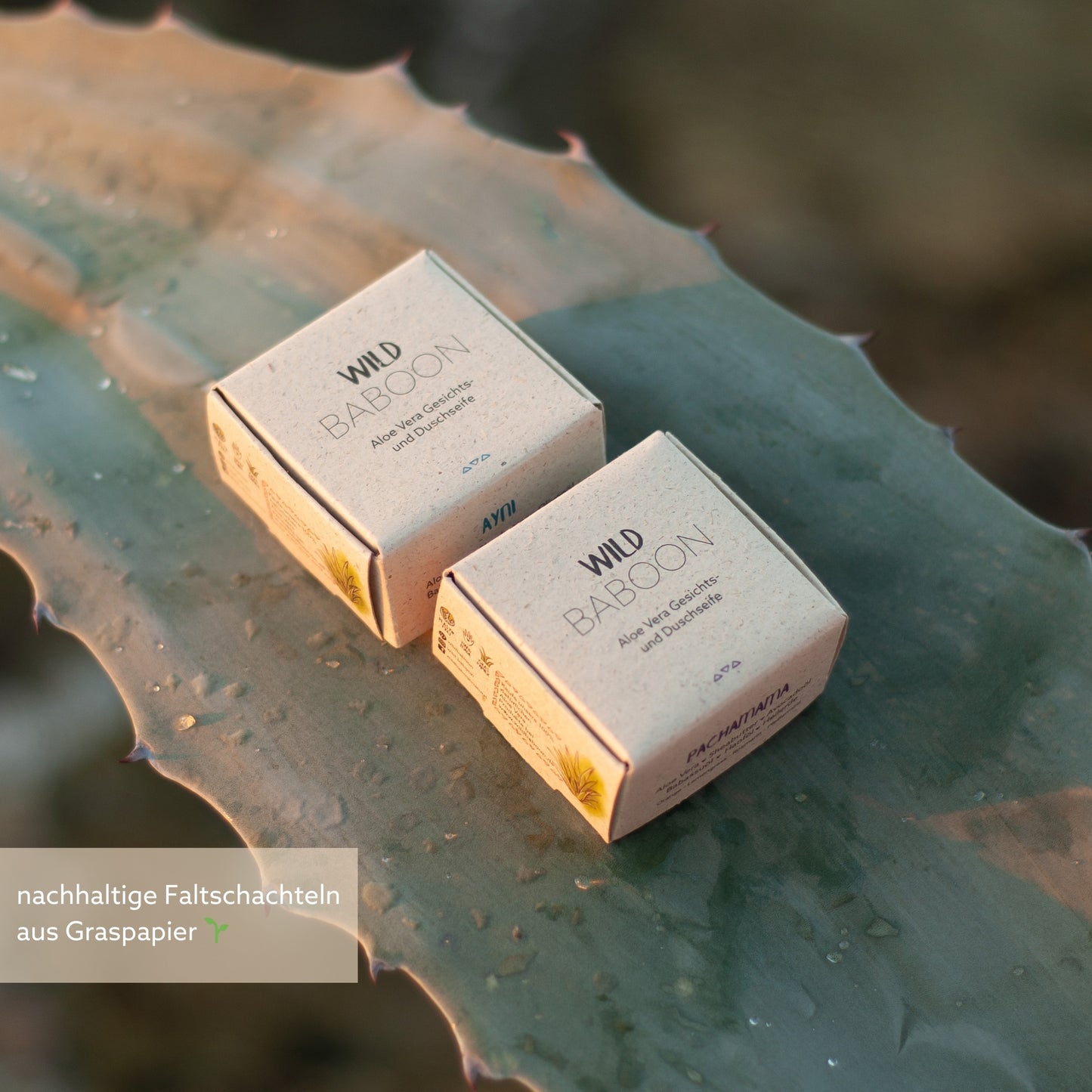 Aloe Vera Gesichtsseife Ayni 60g - schenkt schöne, klare Haut