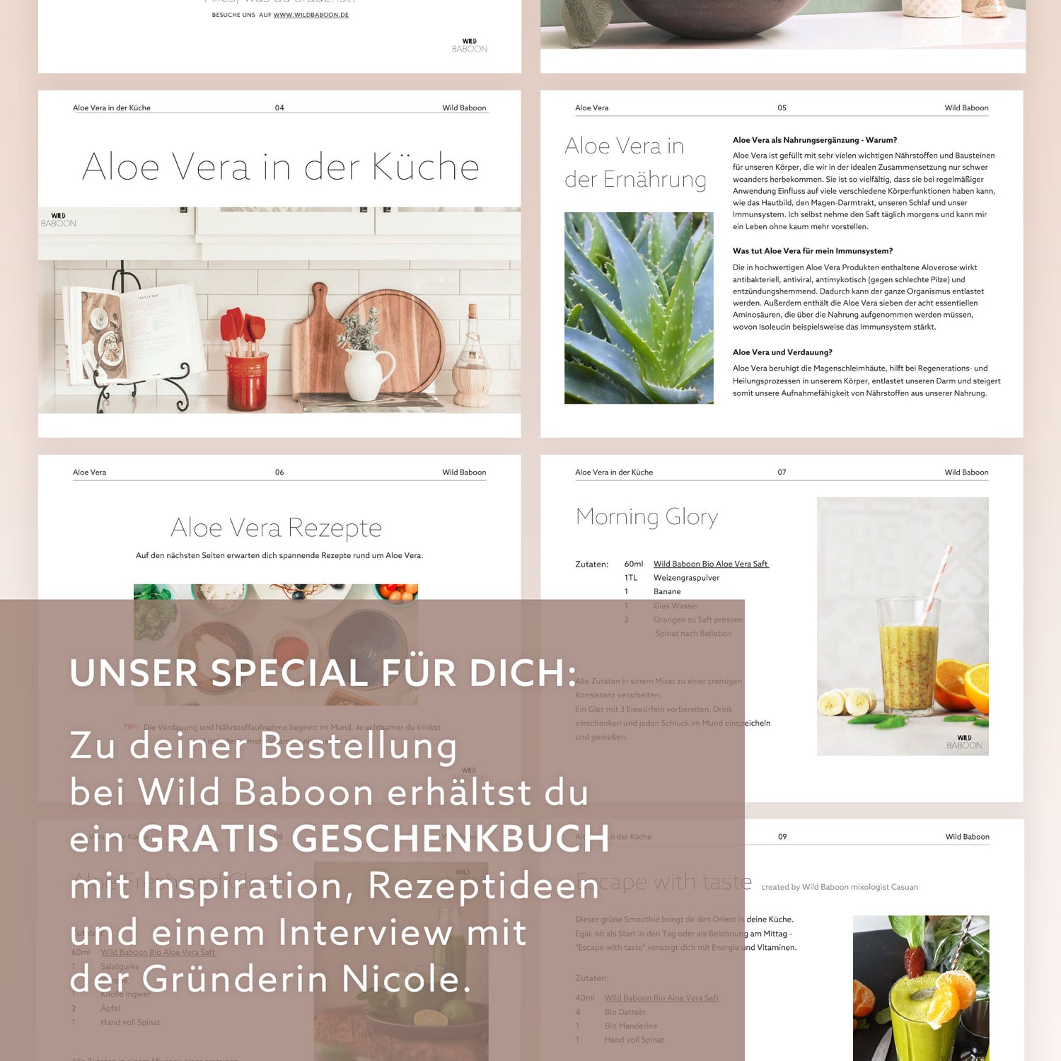 gratis ebook mit inspiration für aloe vera nutzung