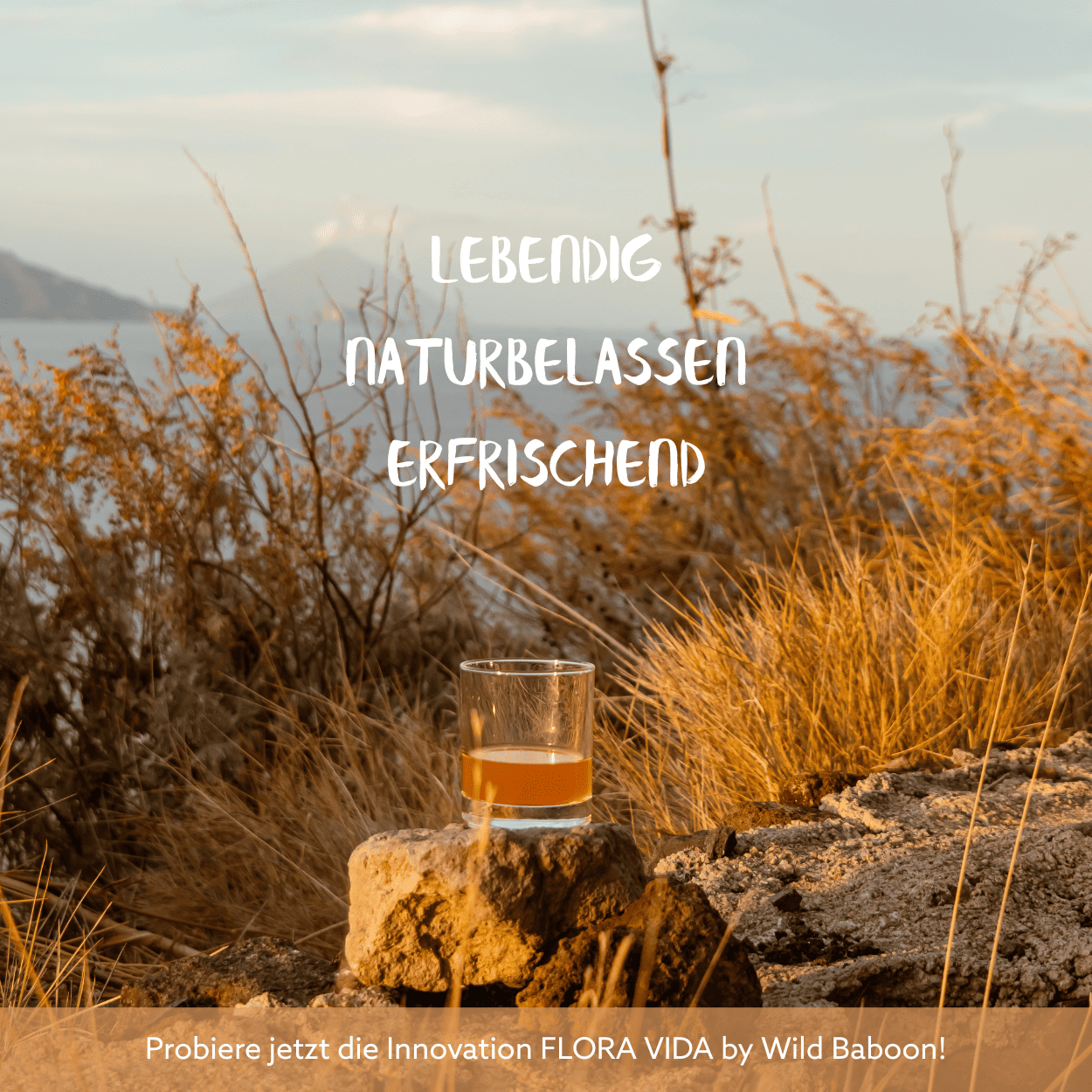 Neu: FLORA VIDA - Ferment mit lebenden Mikroorganismen, Kurkuma, Ingwer und Aloe Vera, BIO