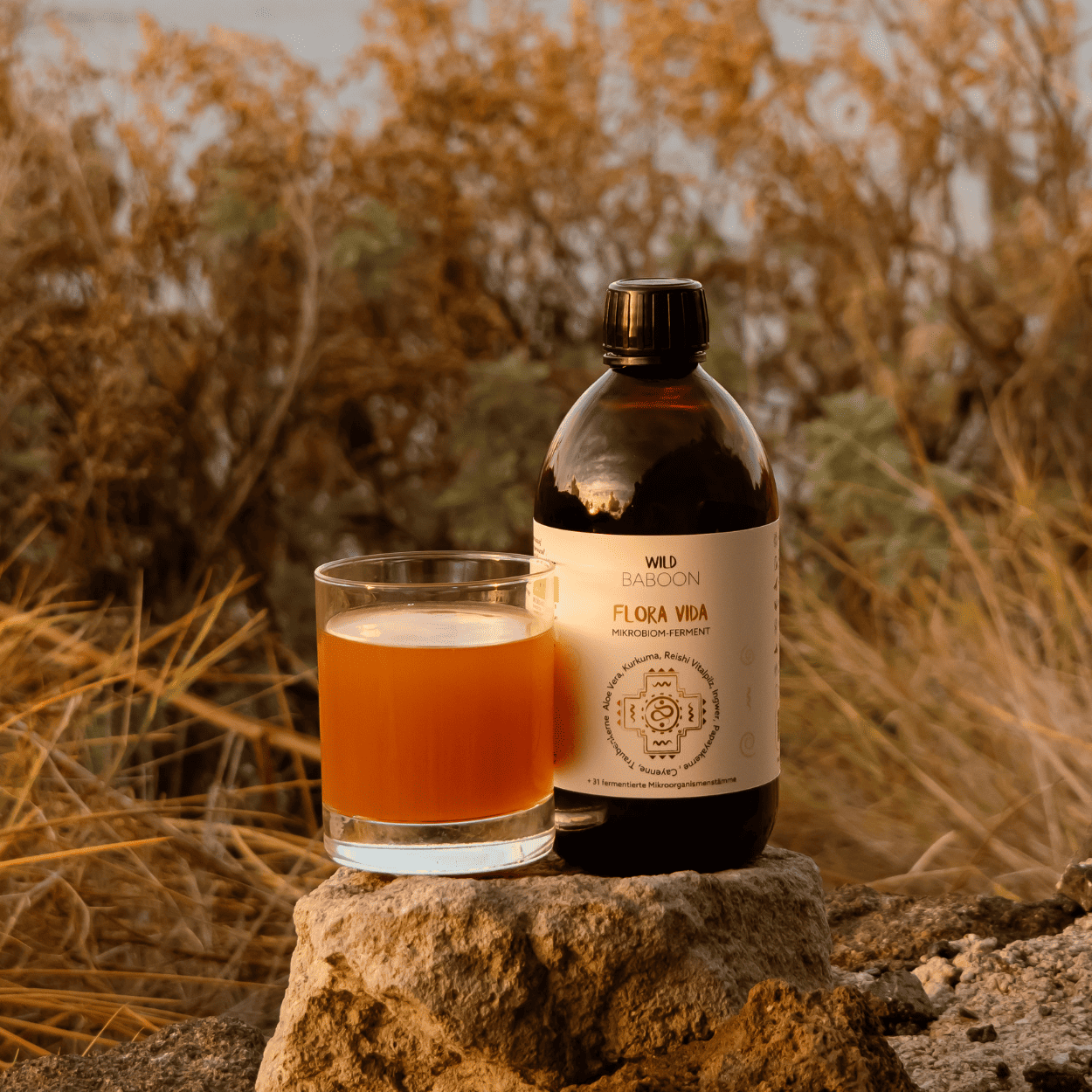 Neu: FLORA VIDA - Ferment mit lebenden Mikroorganismen, Kurkuma, Ingwer und Aloe Vera, BIO