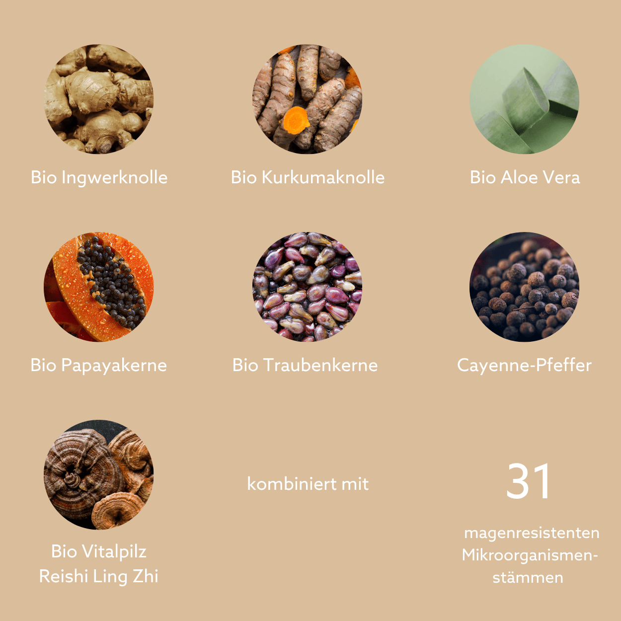 Neu: FLORA VIDA - Ferment mit lebenden Mikroorganismen, Kurkuma, Ingwer und Aloe Vera, BIO