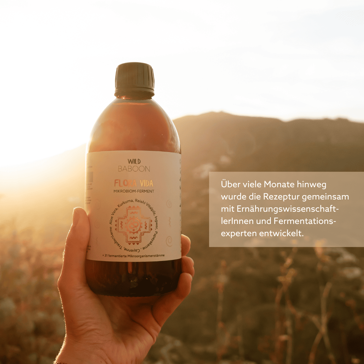 Neu: FLORA VIDA - Ferment mit lebenden Mikroorganismen, Kurkuma, Ingwer und Aloe Vera, BIO