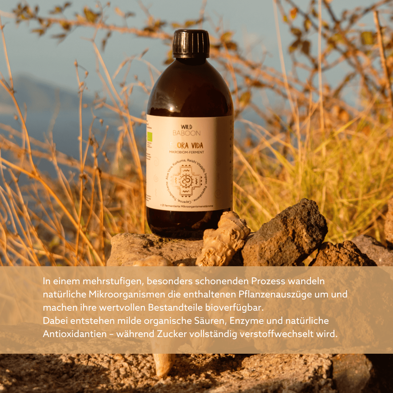 Neu: FLORA VIDA - Ferment mit lebenden Mikroorganismen, Kurkuma, Ingwer und Aloe Vera, BIO