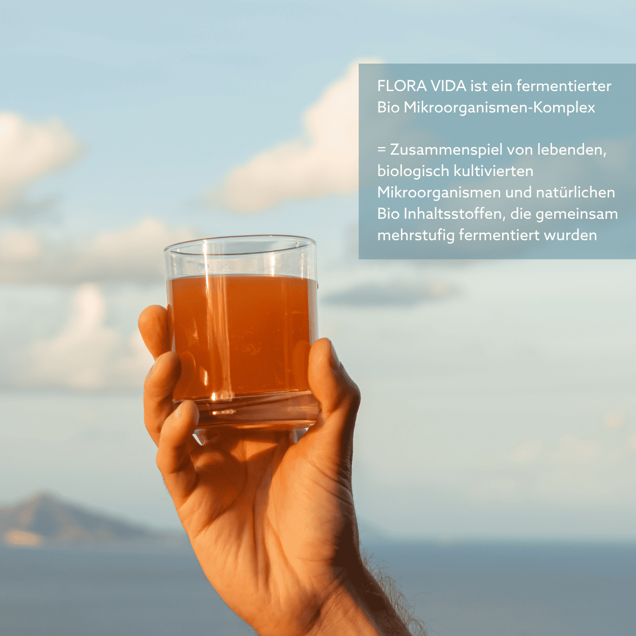 Neu: FLORA VIDA - Ferment mit lebenden Mikroorganismen, Kurkuma, Ingwer und Aloe Vera, BIO