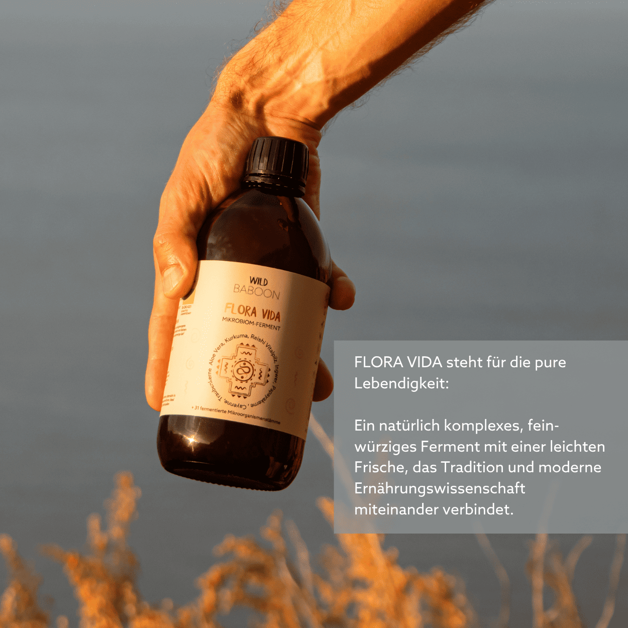 Neu: FLORA VIDA - Ferment mit lebenden Mikroorganismen, Kurkuma, Ingwer und Aloe Vera, BIO