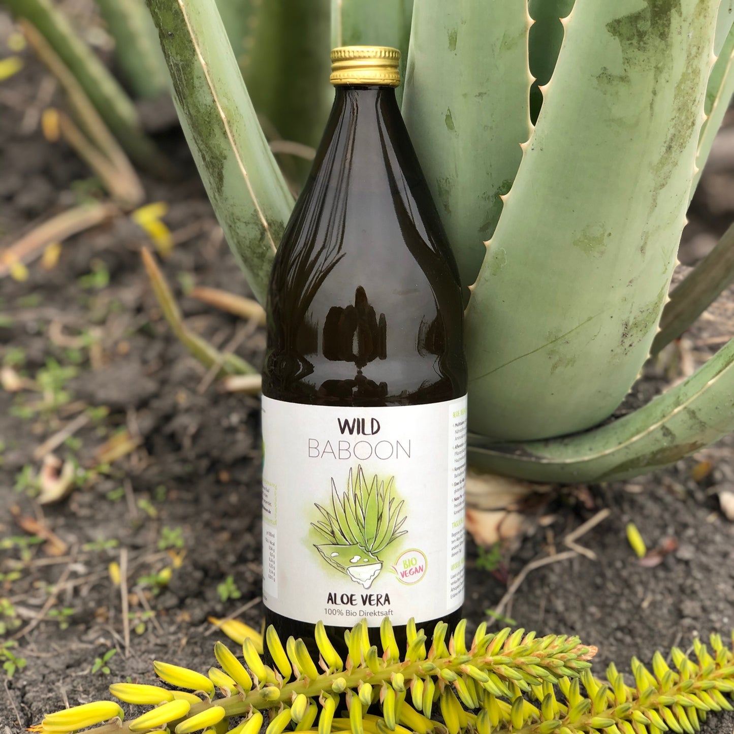 Bio Aloe Vera Direktsaft - Reine Pflanzenkraft