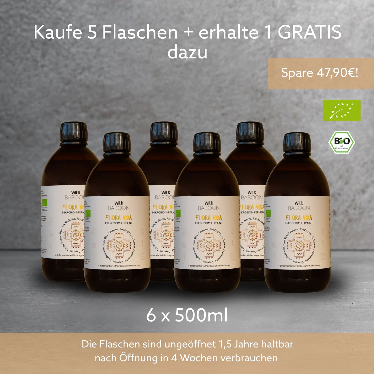 Neu: FLORA VIDA - Ferment mit lebenden Mikroorganismen, Kurkuma, Ingwer und Aloe Vera, BIO