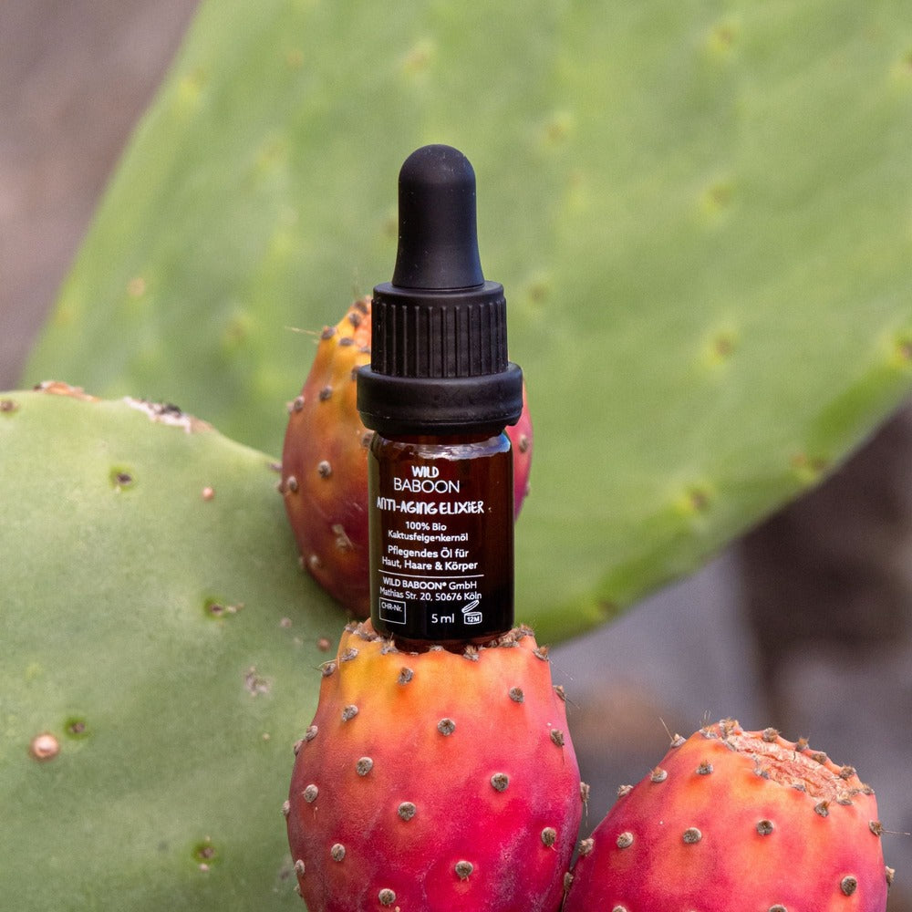 🌵MINI: Bio Kaktusfeigenkernöl - Anti-Aging Elixier