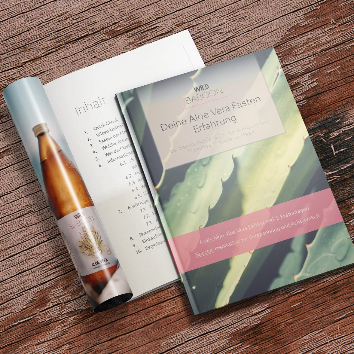 E-BOOK Aloe Vera Saftkur + Heilfasten für Beginner – WILD BABOON