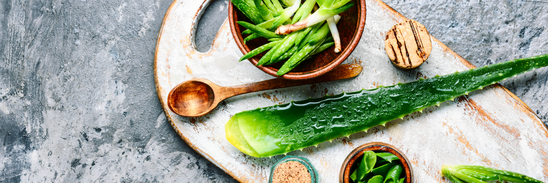 TOP 15 vegane Aloe Vera DIY Rezepte für Körper, Gesicht und Haare