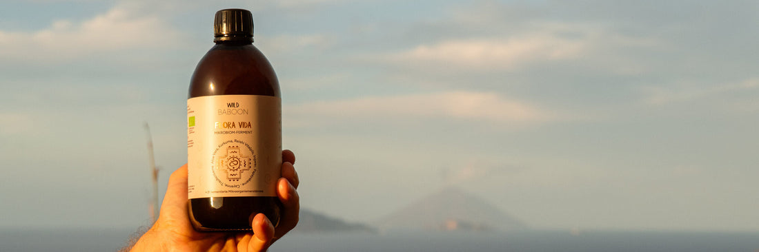 Ferment FLORA VIDA – Warum lebende Mikroorganismen heute wichtiger sind als je zuvor