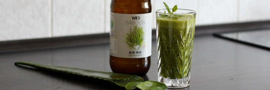 Lieblingsrezepte für Smoothies mit Bio Aloe Vera Saft