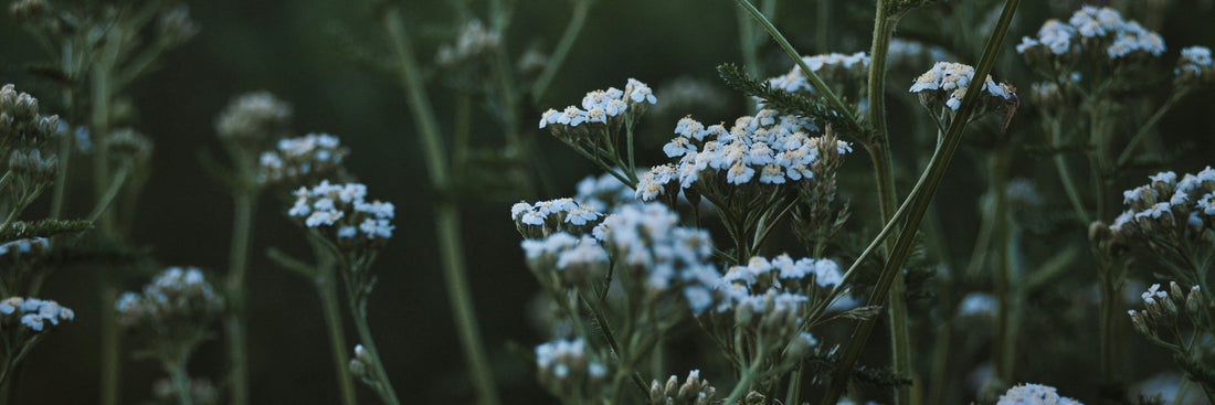Pille absetzen: Schritt-für-Schritt Anleitung (Vorbereitung & natürliche Hormonregulierung)