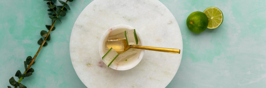 Reines Aloe Vera Gel: Wirkung, Unterschiede, Inhaltsstoffe