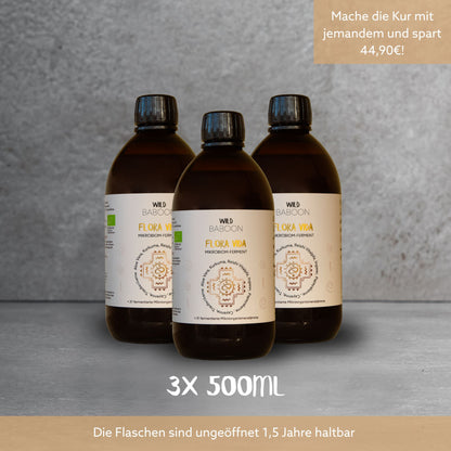 Neu: FLORA VIDA - Ferment mit lebenden Mikroorganismen, Kurkuma, Ingwer und Aloe Vera, BIO