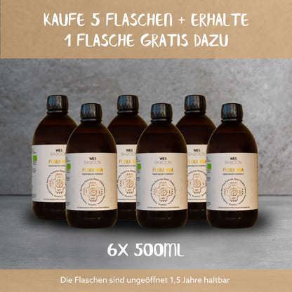 Neu: FLORA VIDA - Ferment mit lebenden Mikroorganismen, Kurkuma, Ingwer und Aloe Vera, BIO