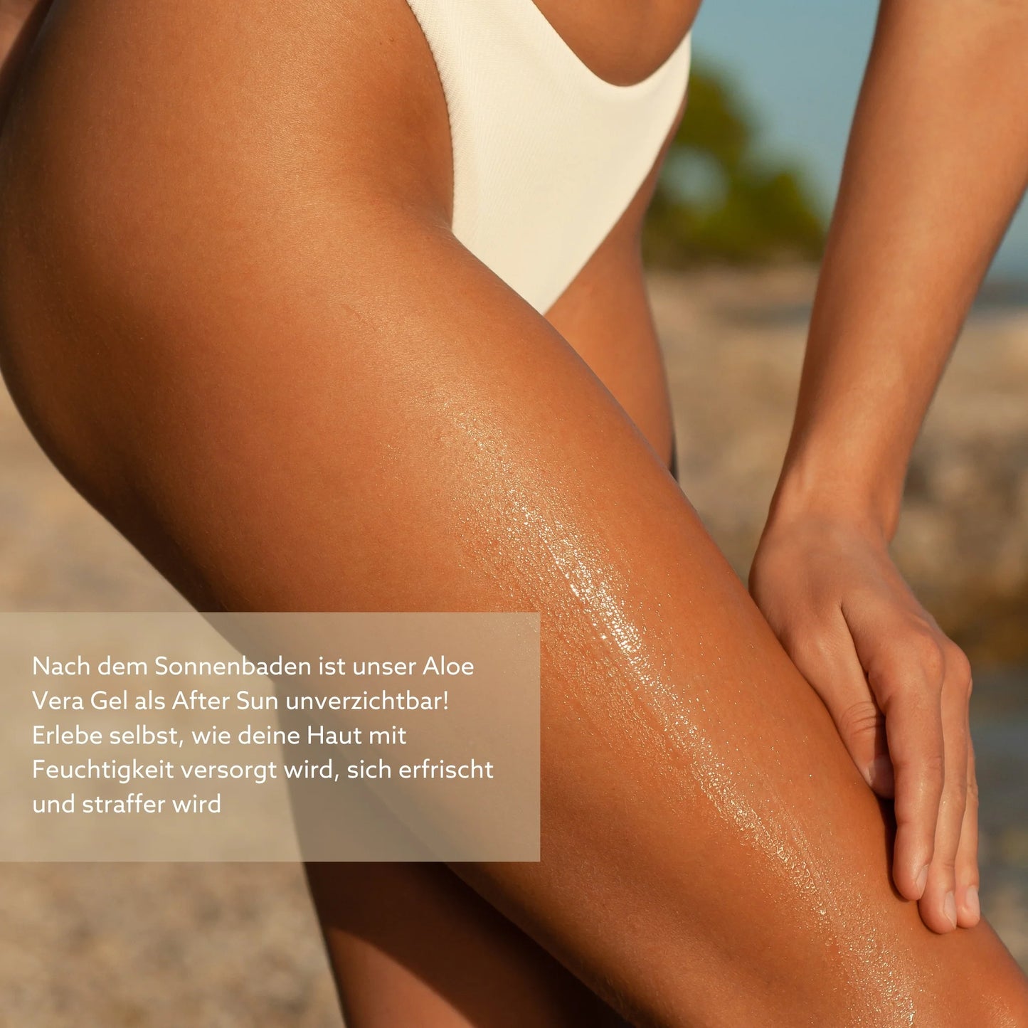 Starterkit: Bio Aloe Vera Saft & Gel