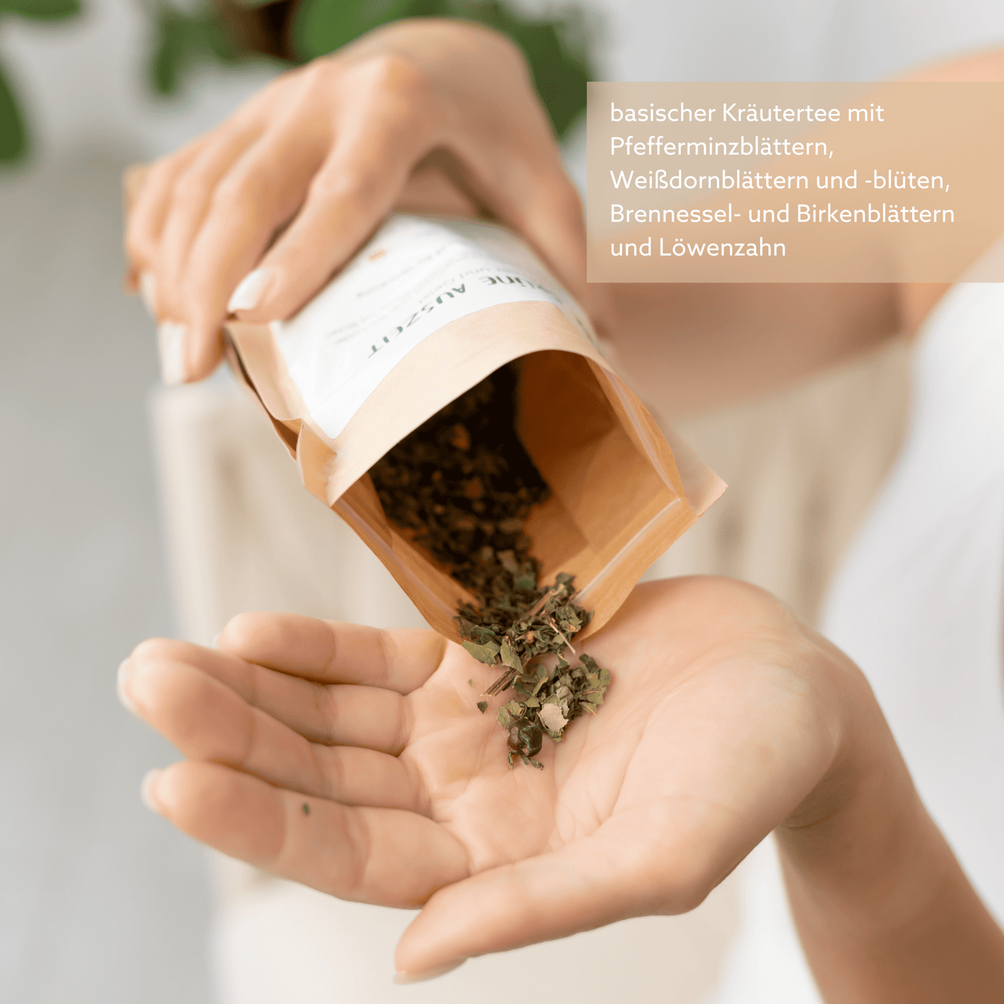 🍵 Green & Clean Tee - deine grüne Auszeit für Körper und Geist 50g