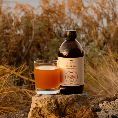 Darmkur FLORA VIDA & Aloe Saft