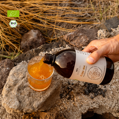 Darmkur FLORA VIDA & Aloe Saft