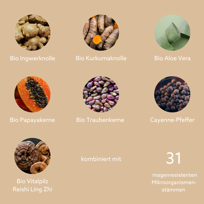 Darmkur FLORA VIDA & Aloe Saft