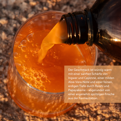 Darmkur FLORA VIDA & Aloe Saft