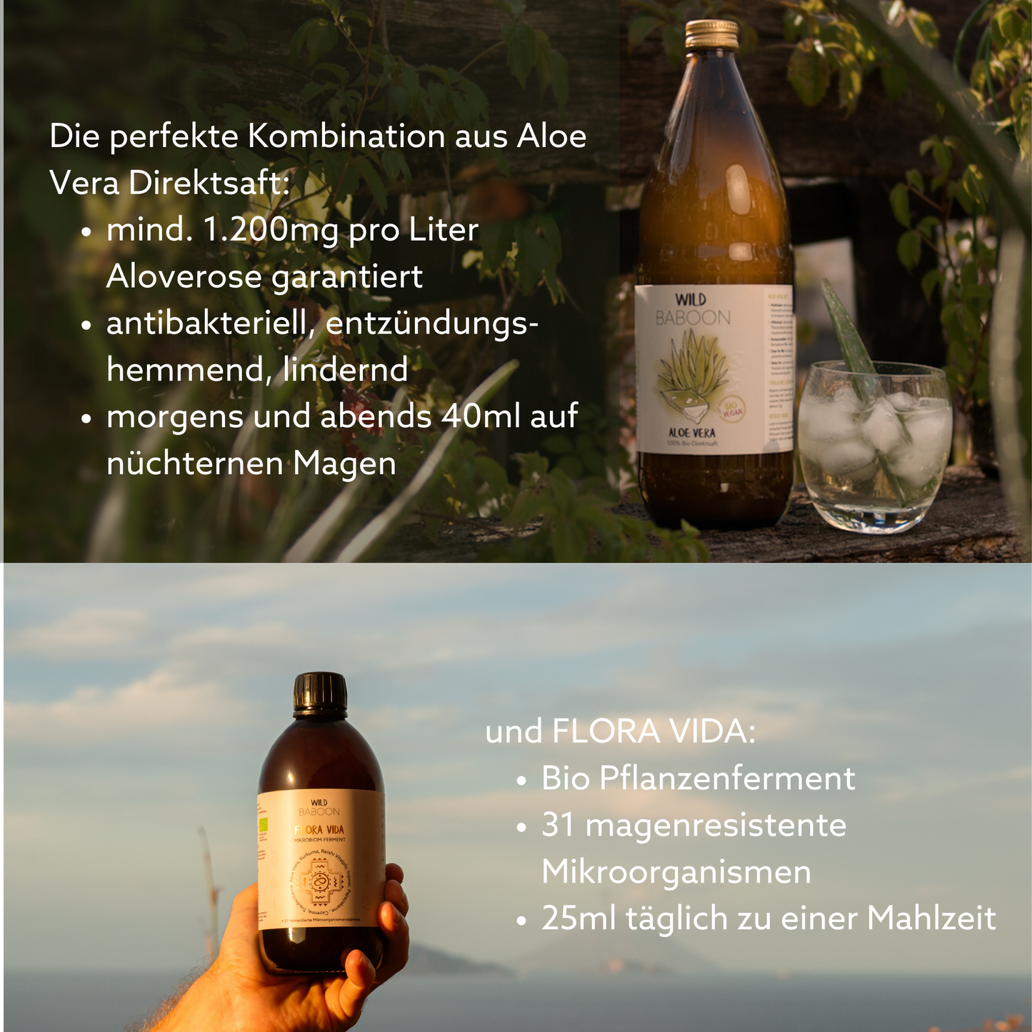 Darmkur FLORA VIDA & Aloe Saft