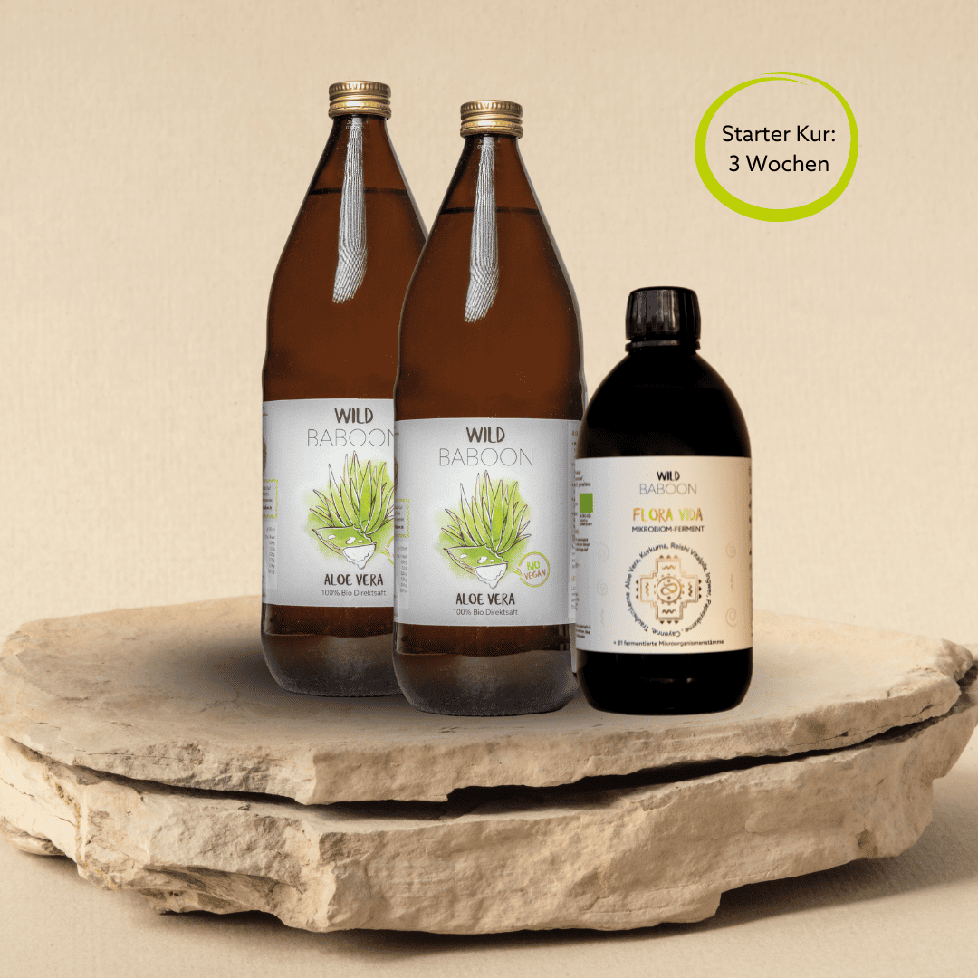 Darmkur FLORA VIDA & Aloe Saft