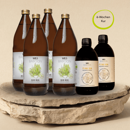 Darmkur FLORA VIDA & Aloe Saft