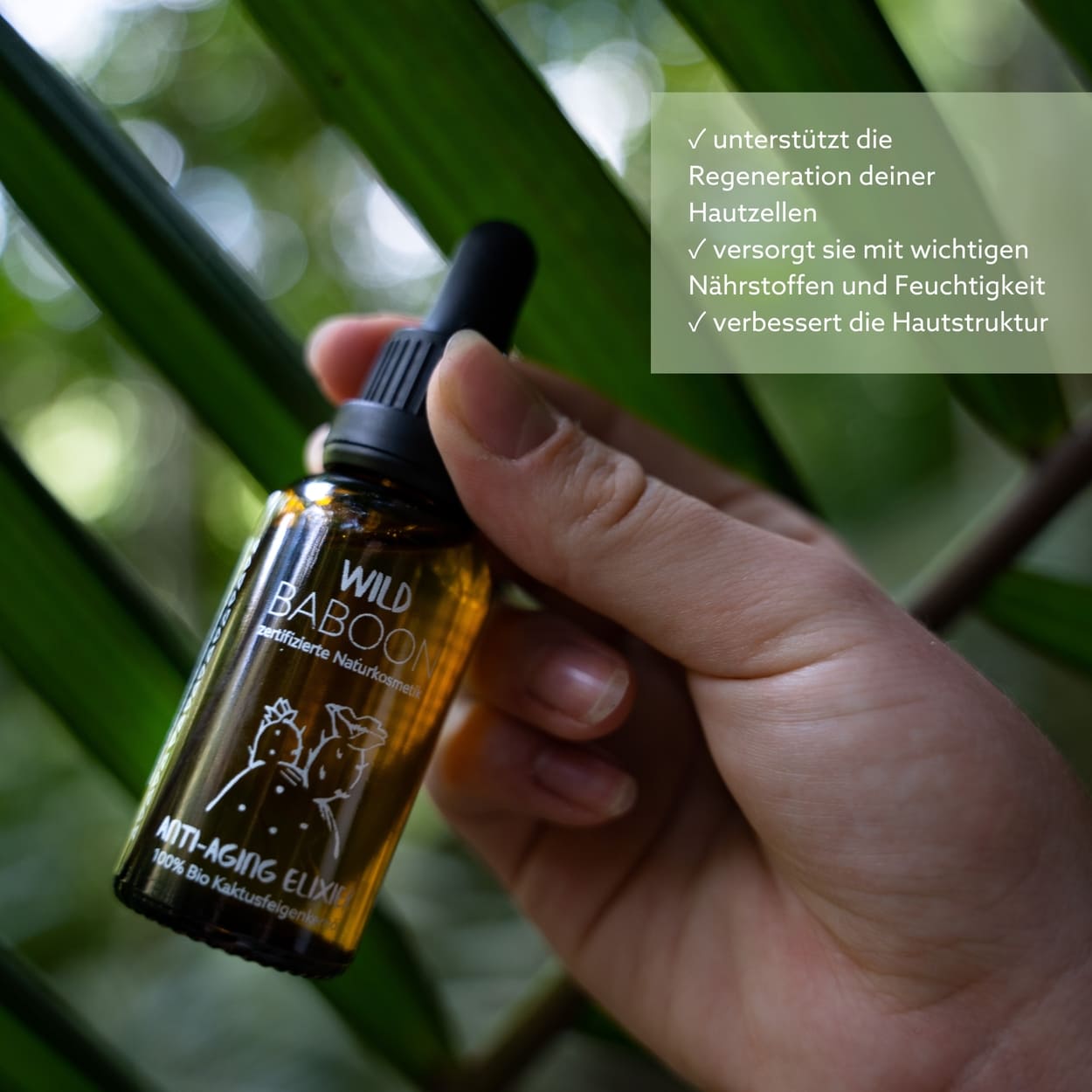 THE GOLDEN RITUAL: Aloe & Cactus