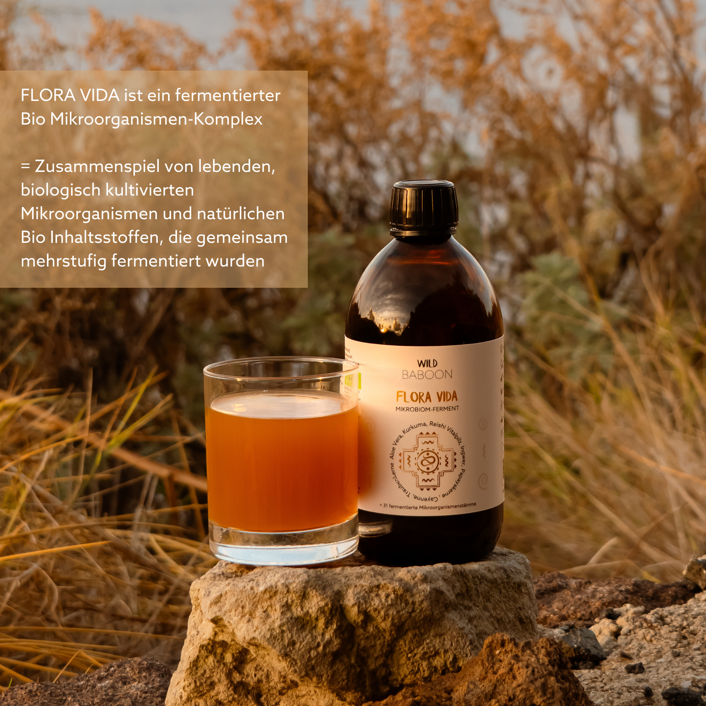 All-in-one Set mit GRATIS ETUI