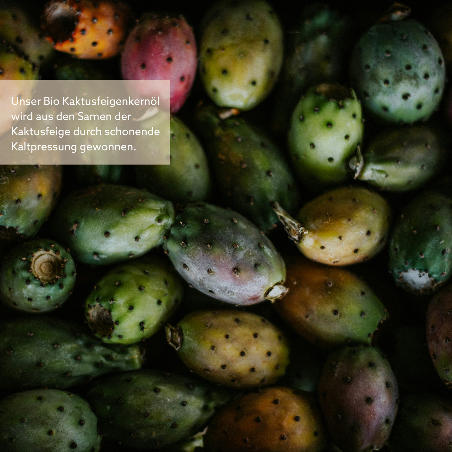 All-in-one Set mit GRATIS ETUI