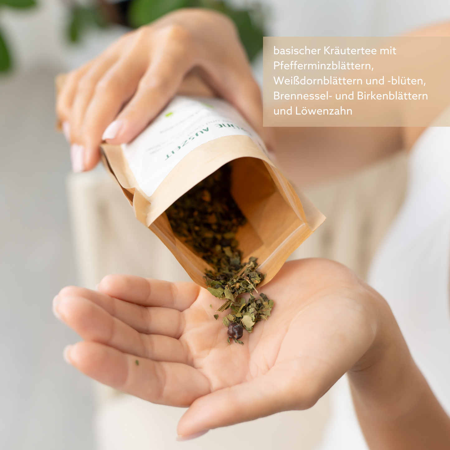 All-in-one Set mit GRATIS ETUI