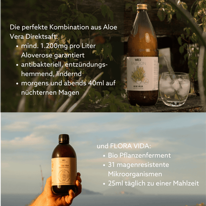 LEICHT WERDEN – 20 Tage begleitete Darmkur mit Nicole & David