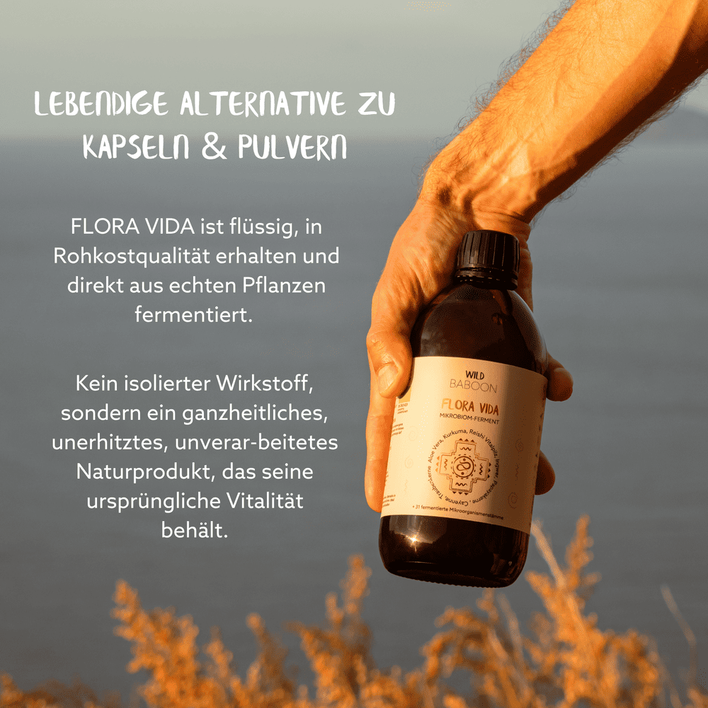 LEICHT WERDEN – 20 Tage begleitete Darmkur mit Nicole & David