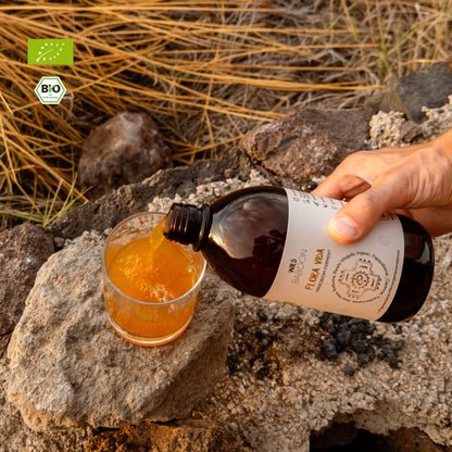 Neu: FLORA VIDA - Ferment mit lebenden Mikroorganismen, Kurkuma, Ingwer und Aloe Vera, BIO