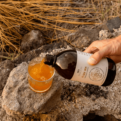 Neu: FLORA VIDA - Ferment mit lebenden Mikroorganismen, Kurkuma, Ingwer und Aloe Vera, BIO